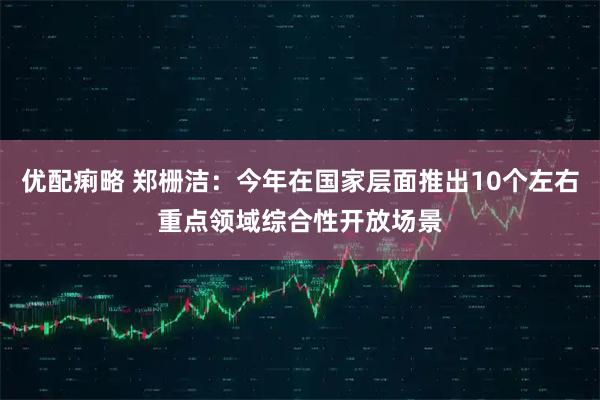 优配痢略 郑栅洁：今年在国家层面推出10个左右重点领域综合性开放场景