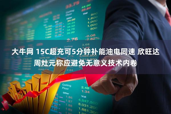 大牛网 15C超充可5分钟补能油电同速 欣旺达周灶元称应避免无意义技术内卷